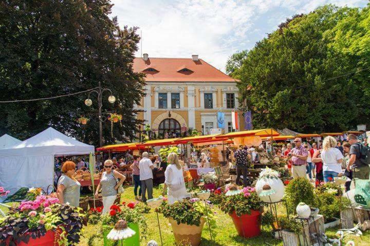 Appartement Der Kleine Bauernhof Keine Arbeiter Zadnych Pracownikow à Lubiatow  Extérieur photo