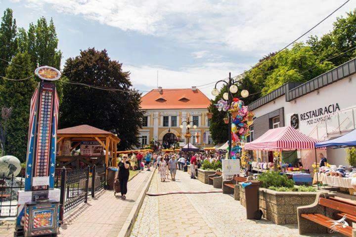 Appartement Der Kleine Bauernhof Keine Arbeiter Zadnych Pracownikow à Lubiatow  Extérieur photo